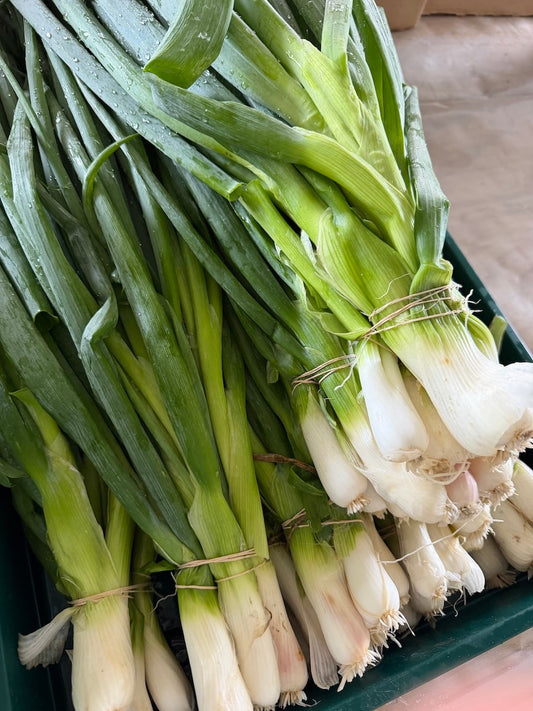 The Underrecognized Onion