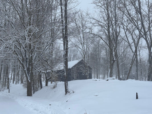 The Winter of Our Discontent