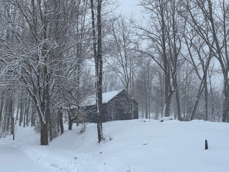 The Winter of Our Discontent