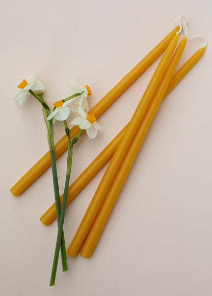 Beeswax Taper Candles