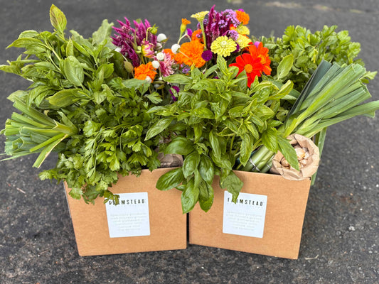CSA Farm Share