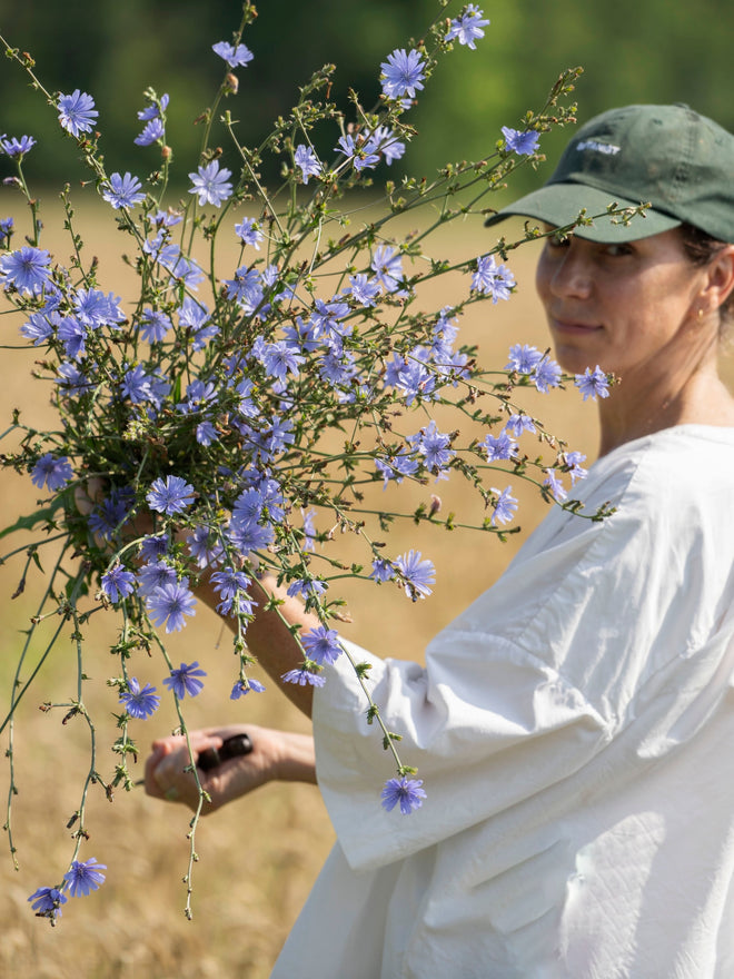 the quiet botanist
